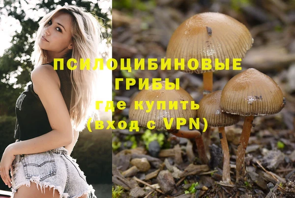 мяу мяу мука Алзамай