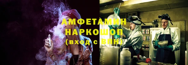 гашик Алексин