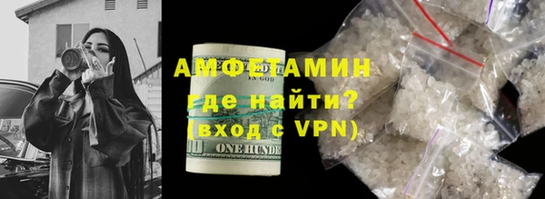 гашик Алексин
