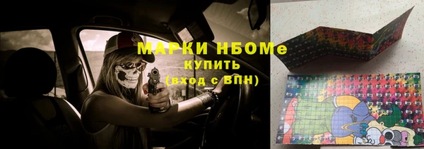 гашик Алексин