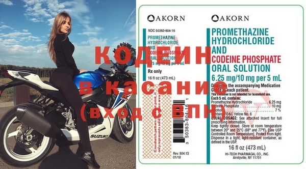 гашик Алексин