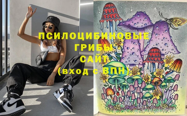 гашик Алексин