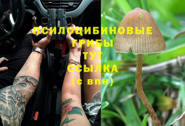 ALPHA-PVP Алексеевка