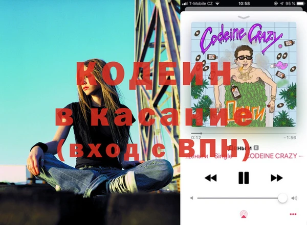 гашик Алексин