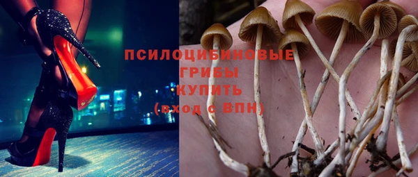 гашик Алексин