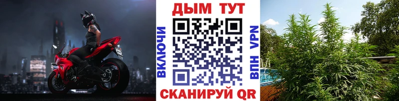 наркота блэк спрут ссылка Каннабис THC 21% darknet формула Дмитров